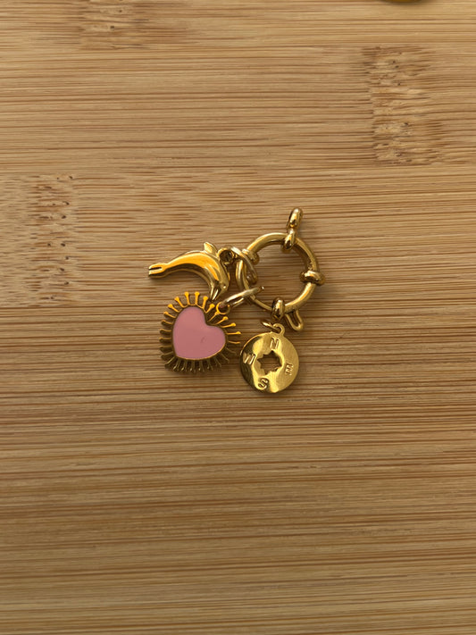 Dolphin Charm